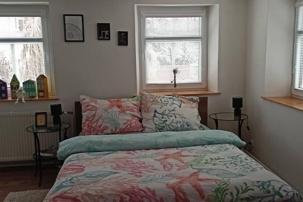 Wellness apartmán Bělá Decin Esterno foto